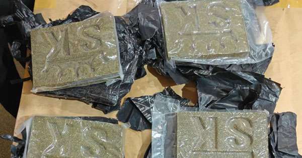 කෝටි 6 ක කුෂ් අල්ලයි