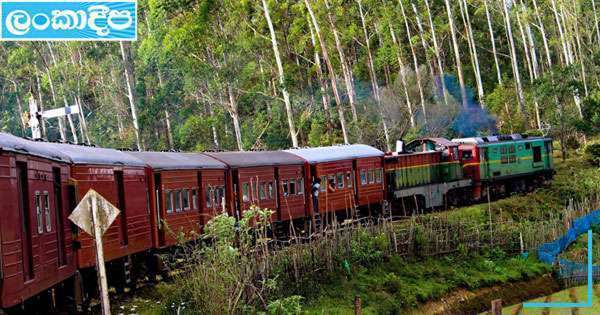 දුම්රිය නැතිව මගීහු නන්නත්තාර වෙති