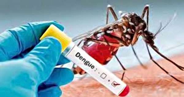 ඩෙංගු  පරීක්ෂාවට ඩ්‍රෝනා