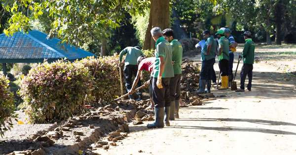 පේරාදෙනිය මල්වත්ත යළි එළිය කරන වැඩ අරඹයි