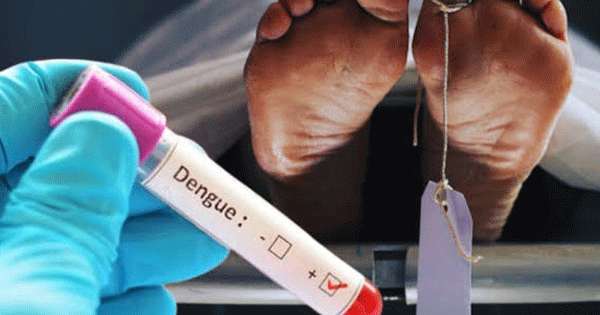 ඩෙංගු මරණ 35 දක්වා ඉහළට