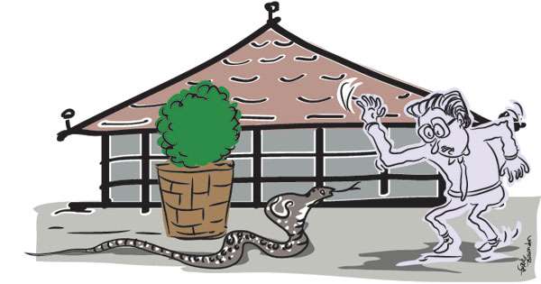 පාර්ලිමේන්තුවට නයෙක් ඇවිත්