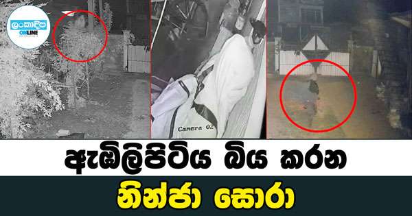 ඇඹිලිපිටිය බිය කරන නින්ජා සොරා