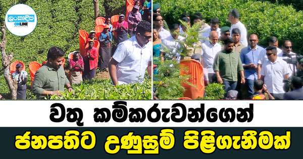 වතු කම්කරුවන්ගෙන් ජනපතිට උණුසුම් පිළිගැනීමක්