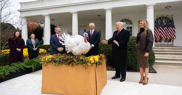 කළුකුමන්ලාට ට්‍රම්ප්ගෙන් සමාව