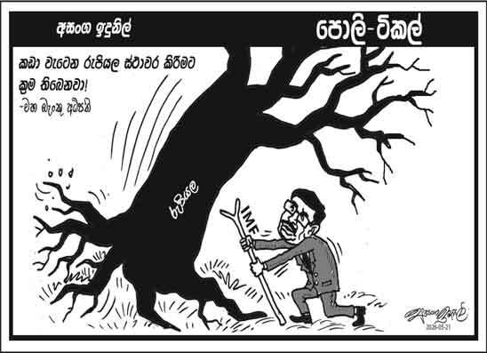 පොලි ටිකල් 21-05-2026