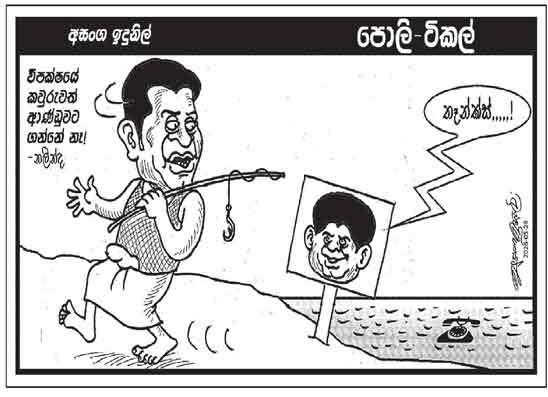 පොලි ටිකල් 28-05-2026