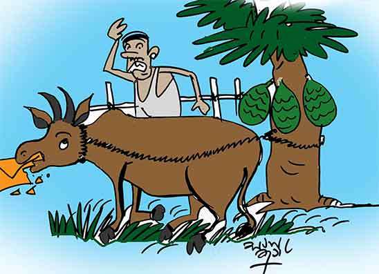 ගොනෙක්  ලියුම කාලා