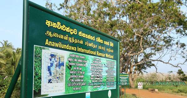 ‘දිට්වා‘ හානි කළ ආනවිළුන්දාව රැම්සා අභය භූමිය