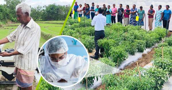 කෘෂිකර්ම - කර්මාන්ත තරුණ ව්‍යවසායකයන්ට ණය