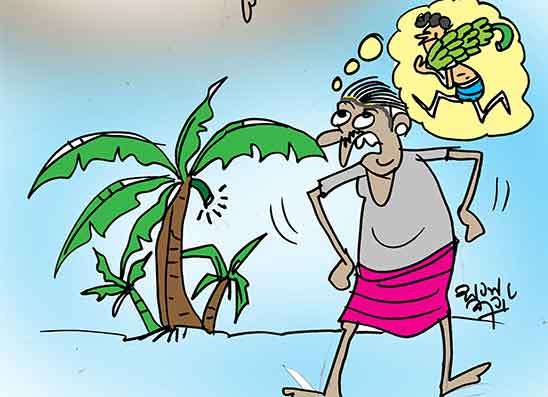 හොරෙන් කැපූ කෙහෙල් කැන අයිතිකරුටම විකුණලා