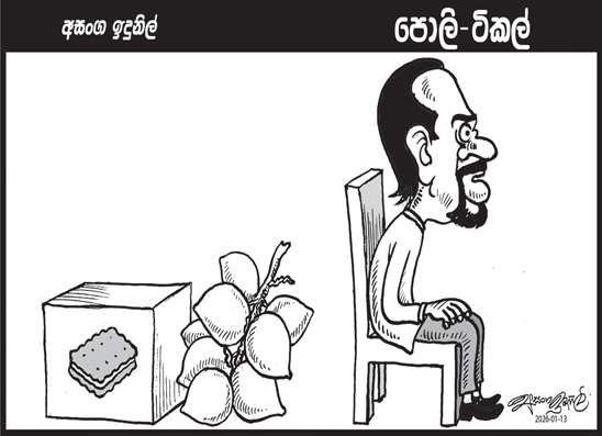 පොලි ටිකල් 13-01-2026