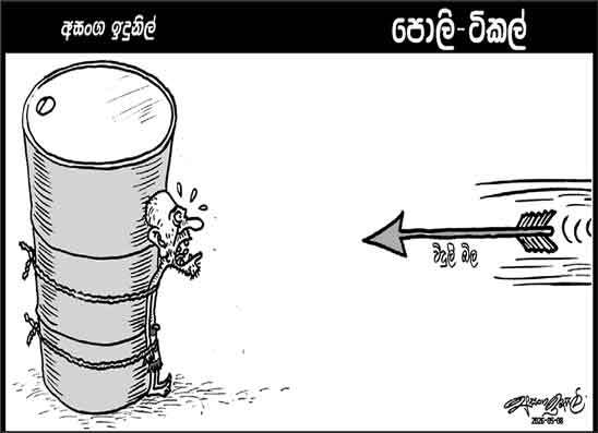 පොලි ටිකල් 08-05-2026