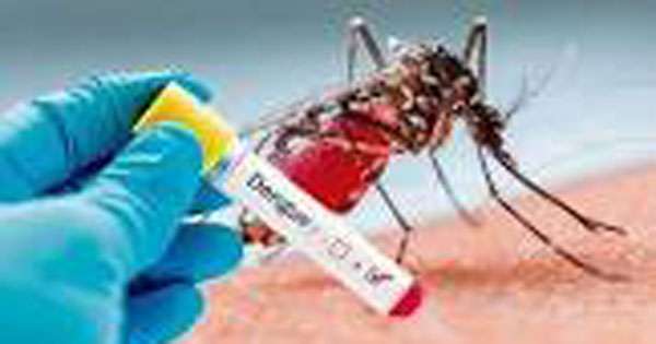 ඩෙංගු මරණ 45 ට  නගී