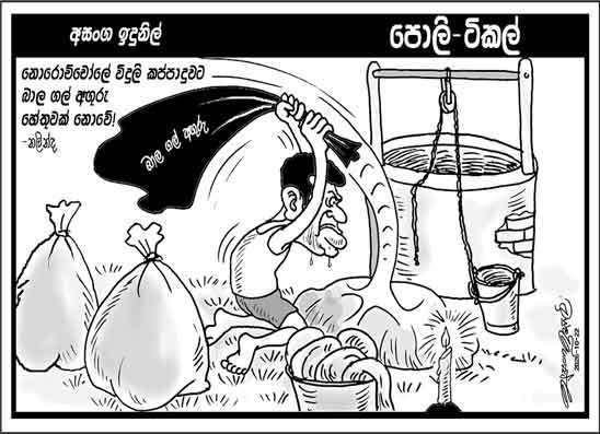 පොලි ටිකල් 22-10-2026