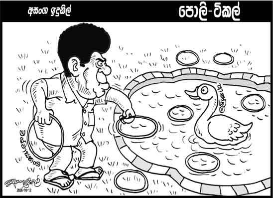 පොලි ටිකල් 12-10-2026