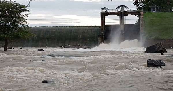 කලාවැවේ වාන් යළි අරී