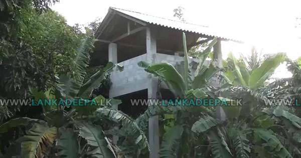 අලි පන්නන්න හැදූ කුටි කැලෑවට