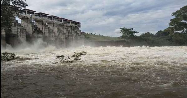 දැදුරුඔයේ වාන් දොරටු 8ම විවෘත කරයි