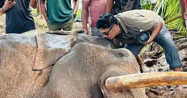 කාවන්තිස්සගේ මරණ පරීක්ෂණයට විදේශ විශේෂඥයන් ගෙන්වන්න
