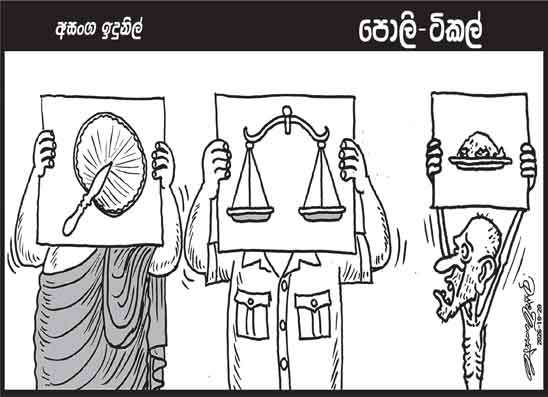 පොලි ටිකල් 20-10-2026