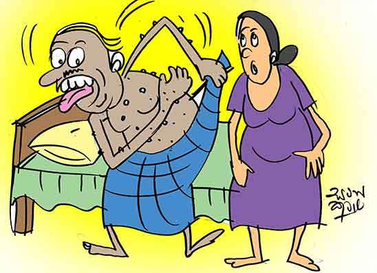ඉල්ලන්න ගිහින් පරිප්පු කයි