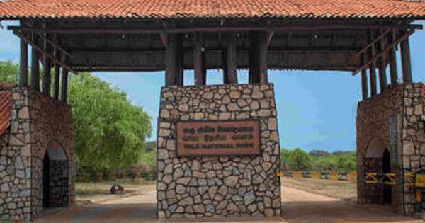 යාල ජාතික වනෝද්‍යානයේ 01 සහ 02 කලාප හෙට සිට වහයි