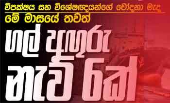 විපක්ෂය සහ විශේෂඥයන්ගේ චෝදනා මැද මේ මාසයේ තවත් ගල් අඟුරු නැව් 6ක්