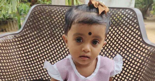 සීයාගේ කැබ්රියට බිණිබිරිය බිලි