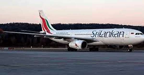කුරුල්ලා ලන්ඩන් ගිය යානය ආපසු හරවයි