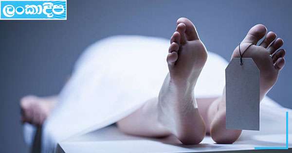 බබරු ඇන දෙදරු මව මරුට