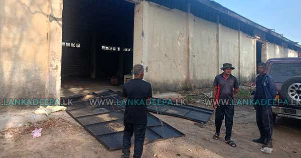 වැලිකන්ද වී ගබඩාවකට අලි  කඩා වදිති