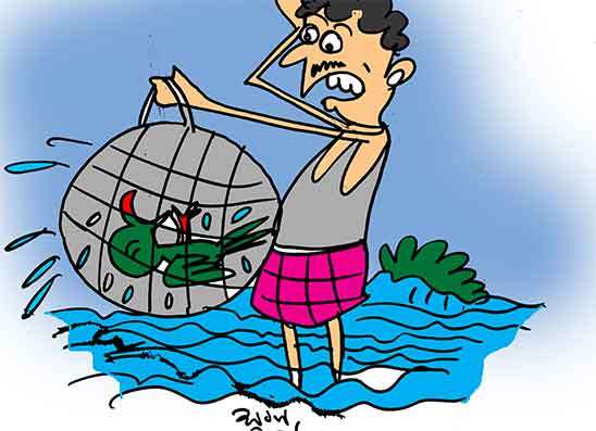 අපූරු නෑවිල්ලෙන් අමාරුවේ වැටිලා