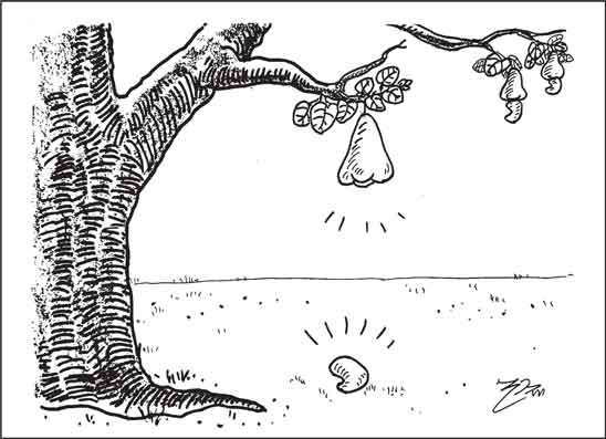 දාස 11-05-2026