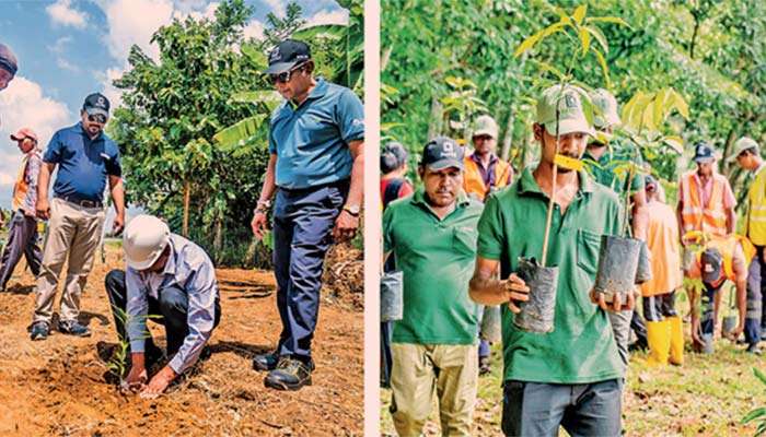අධිවේගී මාර්ග වන වගා ව්‍යාපෘතියට Alumex PLC සහය