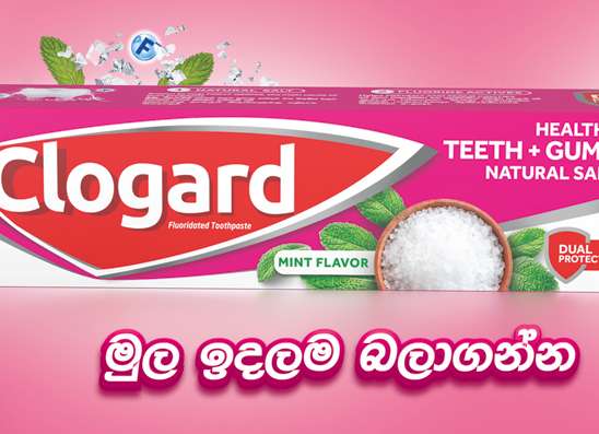 විදුරුමස් රෝග නිවසේ සිටම වළක්වා ගන්න - මුල ඉඳලම බලා ගන්න.