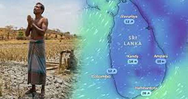 එල්නිනෝ ට මුහුණ දෙන්න ඇමති අනු කමිටුවක්