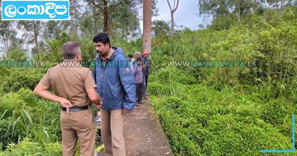 සිංගිමලේ ජලාශයට වැටි සිසුවෙක් අතුරුදන්