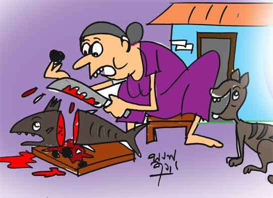 මාළුවාගේ බර වැඩිවෙන්න ගල් ඔබලා