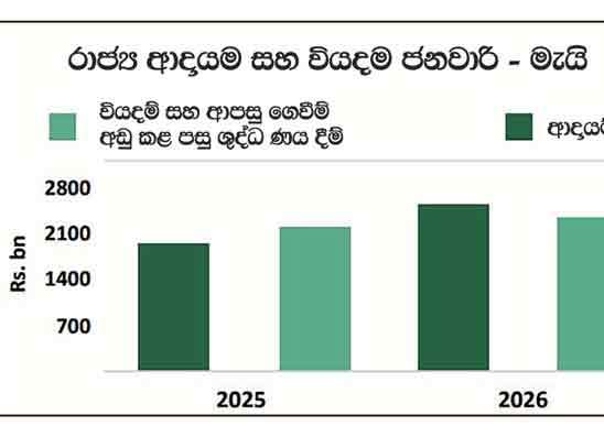 මුල් මාස පහේදී රජයේ ආදායම රුපියල් ට්‍රිලියන 2.54ක්