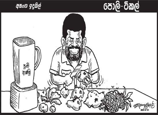 පොලි ටිකල් 01-07-2025