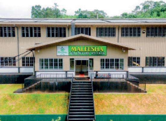 මලීෂා ගෲප් තේ වෙන්දේසියේදී ඉහළම මිලකට විකිණේ