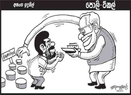 පොලි ටිකල් 31-03-2026