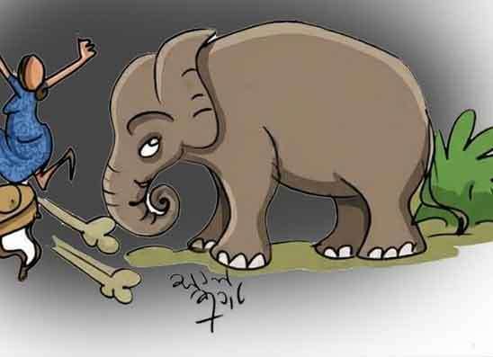 “කපු අලියා” දීගෙ බේරලා