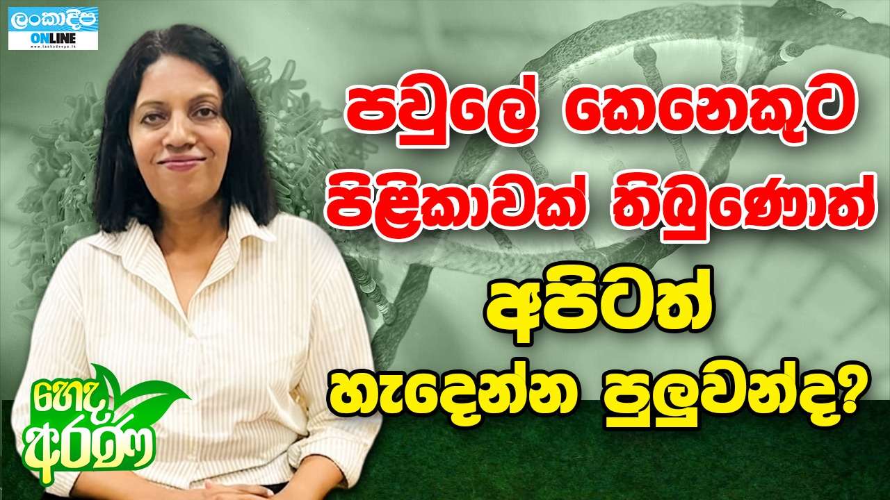 පවුලේ කෙනෙකුට පිළිකාවක් තිබුණොත්  අපිටත් හැදෙන්න පුලුවන්ද ?