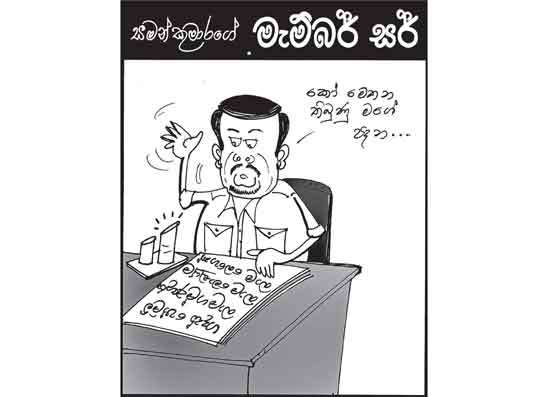 මැම්බර් සර් 03-03-2026
