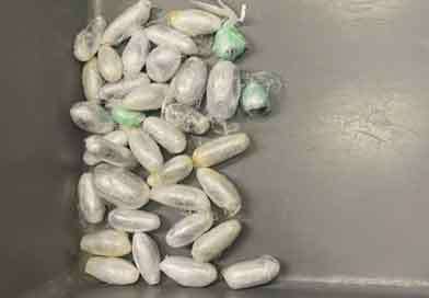 බඩවැලෙන් ආ මත්ද්‍රව