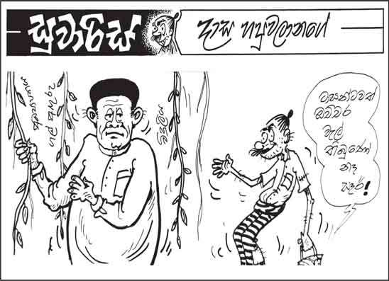 සුවාරිස් 22-01-2026