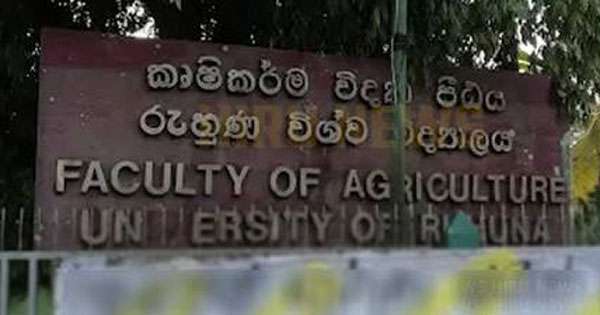 උණක් නිසා රුහුණු කෘෂි පීඨයේ ඉගැන්වීම් ඔන්ලයින්  ක්‍රමයට