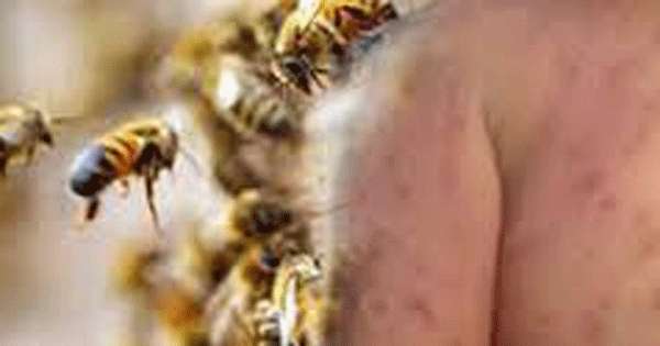 විභාග මධ්‍යස්ථානයට බඹරු පනිති